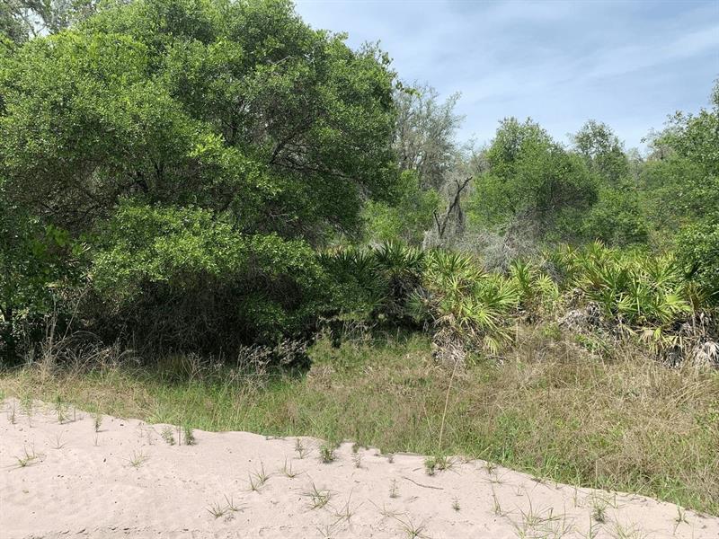 County Road 54 E Kathleen FL 33849