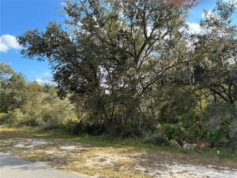 2521 Plumosa Drive Indian Lake Estates FL 33855