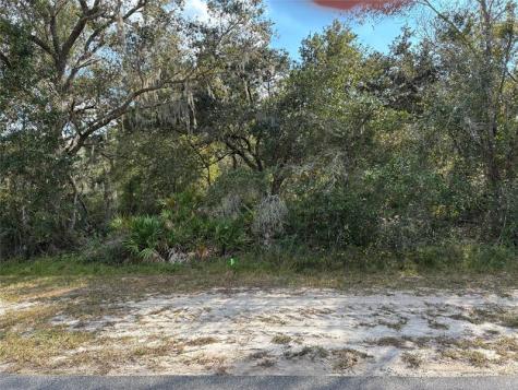 2521 Plumosa Drive Indian Lake Estates FL 33855