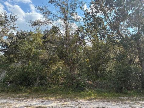 2521 Plumosa Drive Indian Lake Estates FL 33855