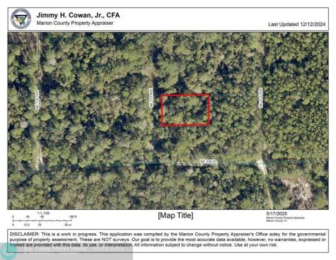 00 NE 113 Avenue Fort Mc Coy FL 32134