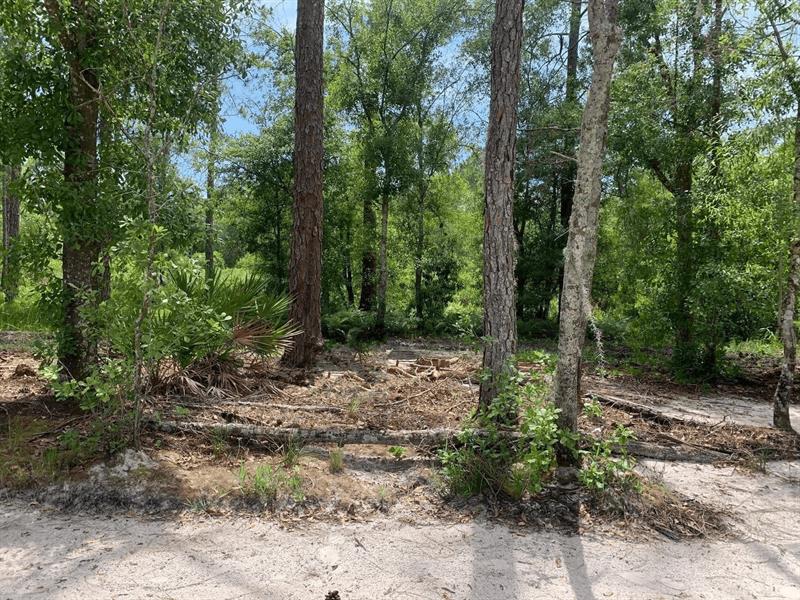 County Road 54 E Kathleen FL 33849