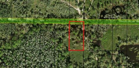 County Road 54 E Kathleen FL 33849