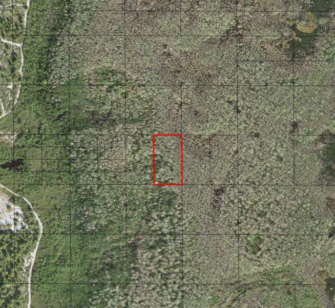 Holopaw Groves Road St. Cloud FL 34772