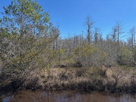 Holopaw Groves Road St. Cloud FL 34772