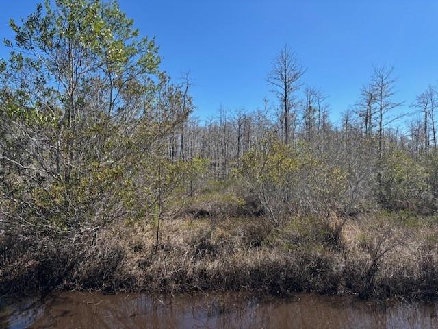 Holopaw Groves Road St. Cloud FL 34772