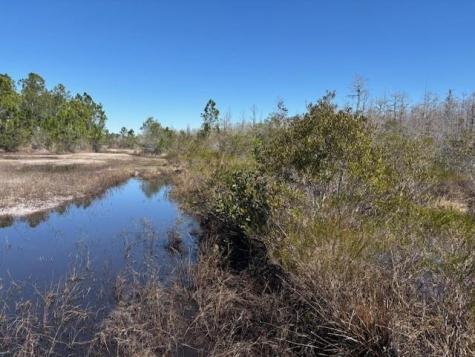 Holopaw Groves Road St. Cloud FL 34772