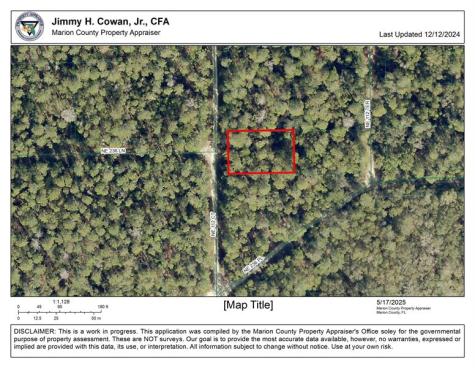 00 NE 113 Avenue Fort Mc Coy FL 32134