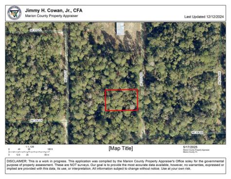 00 NE 113 Avenue Fort Mc Coy FL 32134