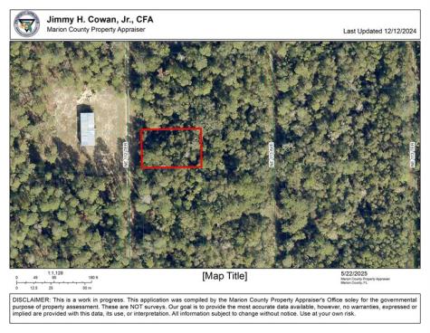 00 NE 113 Avenue Fort Mc Coy FL 32134