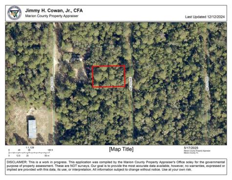 00 NE 113 Avenue Fort Mc Coy FL 32134