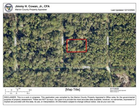 00 NE 113 Avenue Fort Mc Coy FL 32134