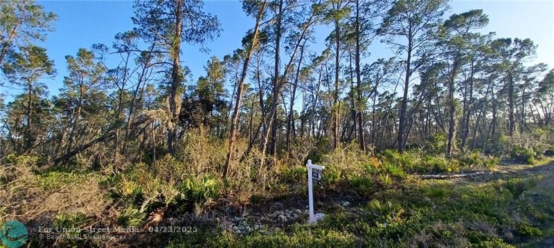 Sebring FL 33872