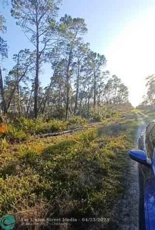 Sebring FL 33872
