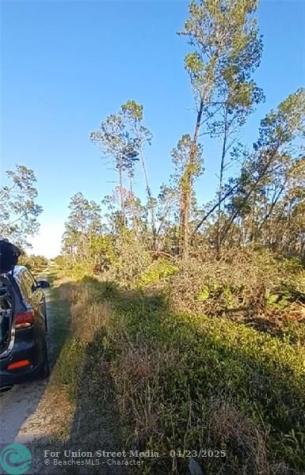 Sebring FL 33872