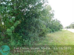18872 NW 256th Street Okeechobee FL 34972