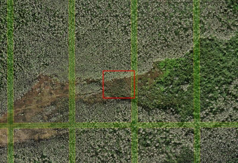 Holopaw Groves Road St. Cloud FL 34772