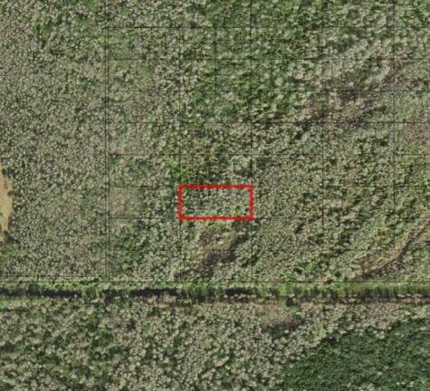 Holopaw Groves Road St. Cloud FL 34772