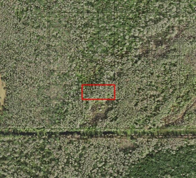 Holopaw Groves Road St. Cloud FL 34772