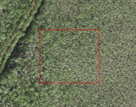 Holopaw Groves Road St. Cloud FL 34772