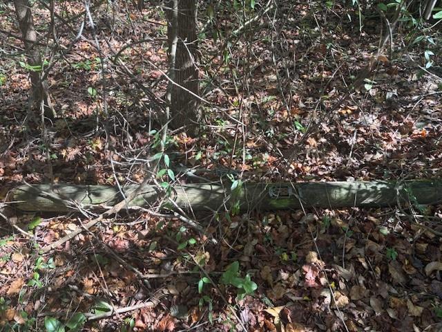 SE 157th Street Umatilla FL 32784
