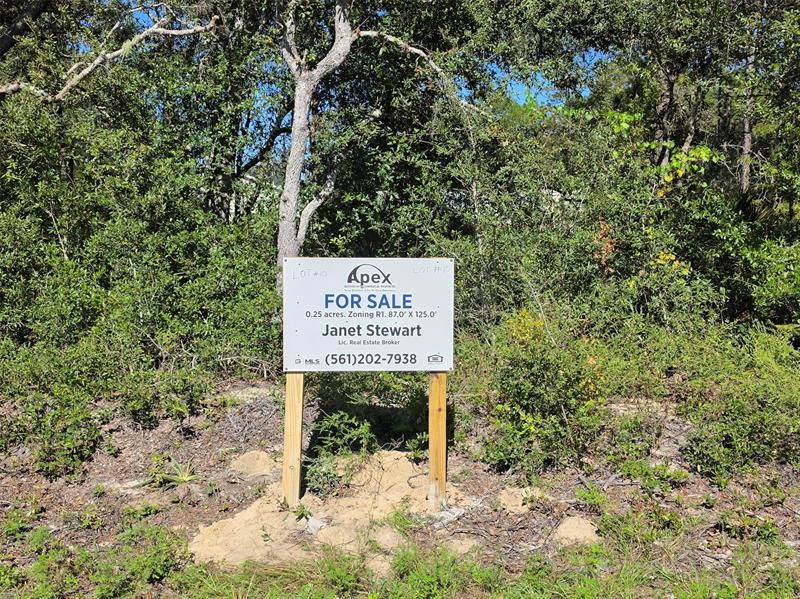 Lot 10 Malauka Circle Ocklawaha FL 32179