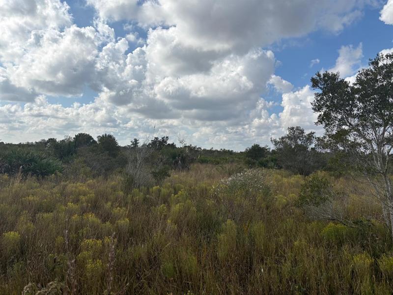 NW 314th Street Okeechobee FL 34972