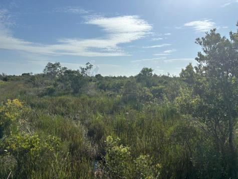 NW 318th Street Okeechobee FL 34972