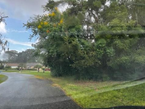 000 Silver Course Loop Ocala FL 34472