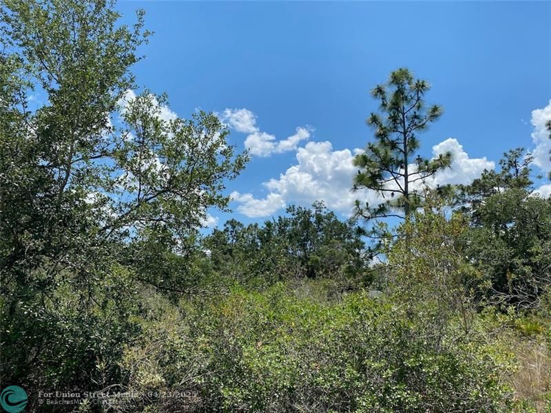 Lot 24 Indian Lake Drive Indian Lake Estates FL 33855