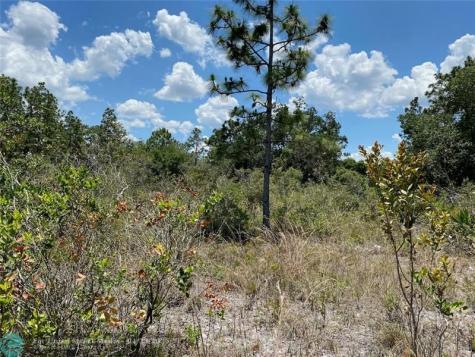 Lot 24 Indian Lake Drive Indian Lake Estates FL 33855