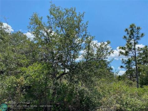 Lot 24 Indian Lake Drive Indian Lake Estates FL 33855