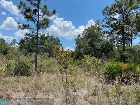 Lot 24 Indian Lake Drive Indian Lake Estates FL 33855