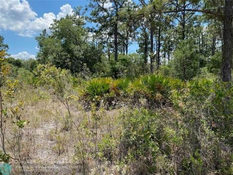 Lot 24 Indian Lake Drive Indian Lake Estates FL 33855