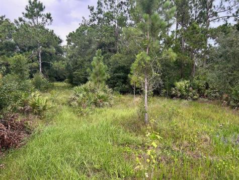 640 NE 144th Drive Okeechobee FL 34972