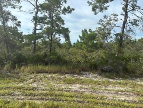 533 Boylston Street Lake Placid FL 33852