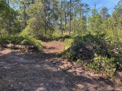 1400 12TH Avenue DeLand FL 32724