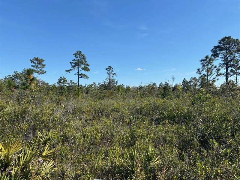 Holopaw Groves Road St. Cloud FL 34772