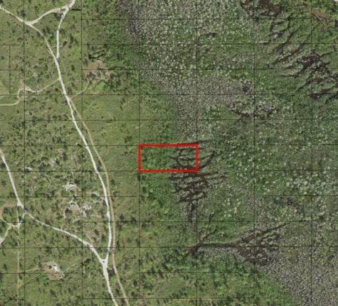 Holopaw Groves Road St. Cloud FL 34772