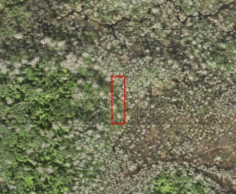 Holopaw Groves Road St. Cloud FL 34772