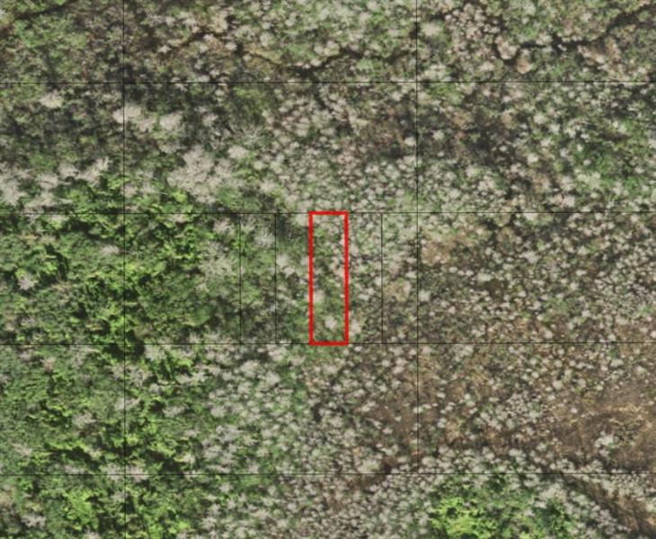 Holopaw Groves Road St. Cloud FL 34772