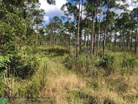 16788 NW 276th Street Okeechobee FL 34972