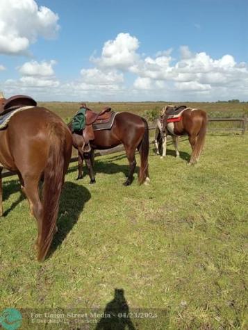 16788 NW 276th Street Okeechobee FL 34972