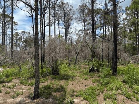 Claverton Drive Lake Placid FL 33852