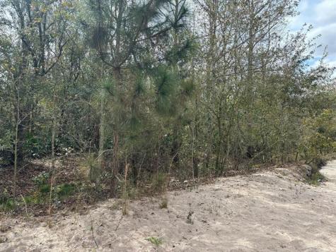 County Road 54 E Kathleen FL 33849