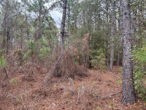 Old Grade Road Other City - In The State Of Florida FL 33868