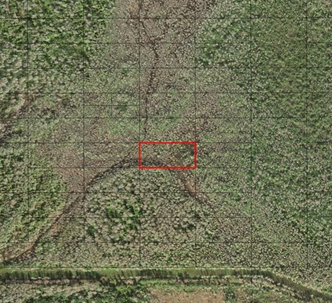 Holopaw Groves Road St. Cloud FL 34772