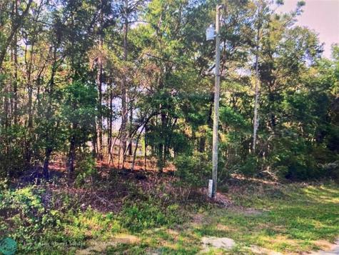 684 W Pitler Place Citrus Springs FL 34434