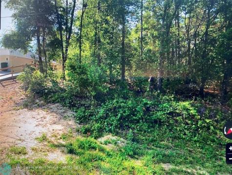 684 W Pitler Place Citrus Springs FL 34434