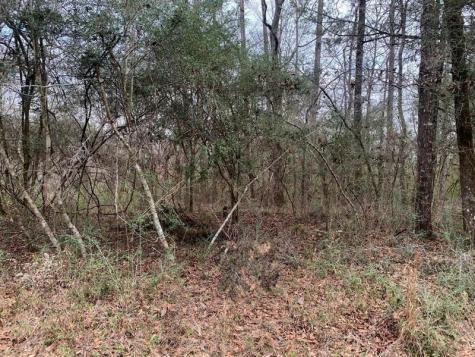 Griffin Circle Westville FL 32464